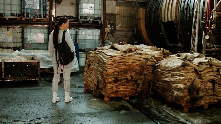 Rebecca Cappelli film Slay tanneries leather Brazil Italy deforestation