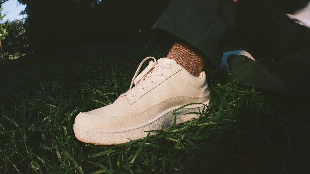 Allbirds plant leather