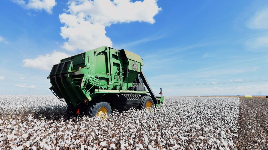 Better Cotton announced its involvement with the Clinton Global Initiative, which convenes global and emerging leaders to create and implement solutions to world challenges.