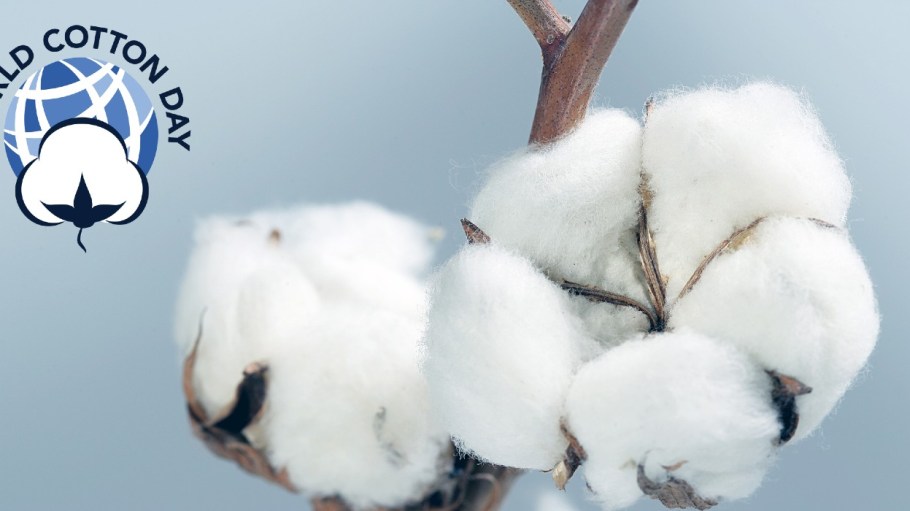 International Day Explains Why Cotton is More than Just a Commodity