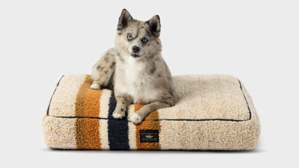 Shinola pet collection.