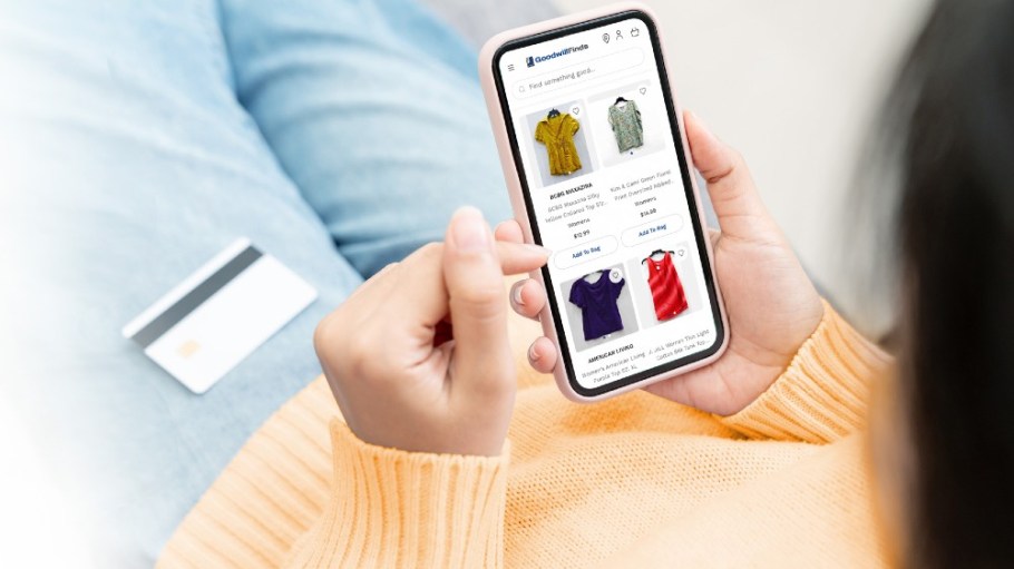 Consumer shops on GoodwillFinds.