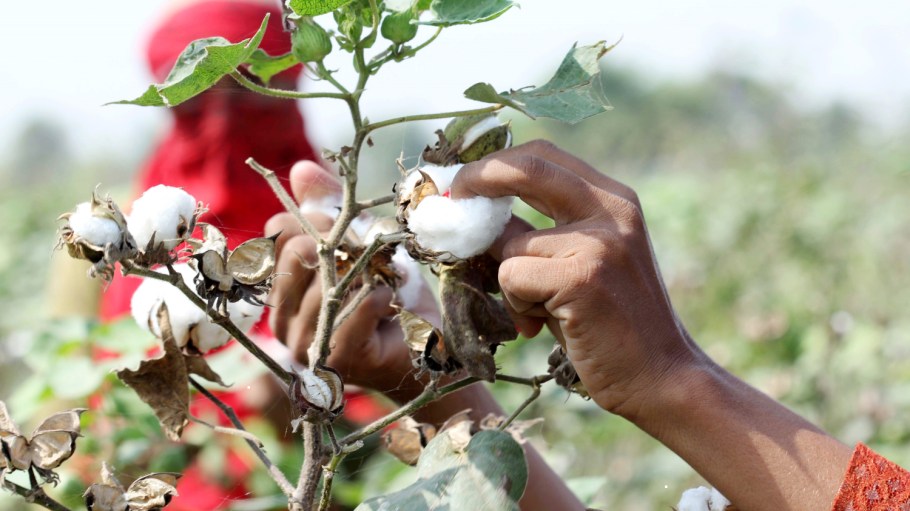 Spot prices for Pakistani cotton have also followed the general price trends of the futures market. But, we're left to ponder the question, why?
