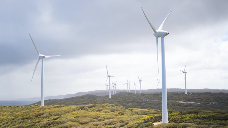 Levi Strauss & Co., Walmart and other Walmart supplies have invested in a new wind farm in Kansas