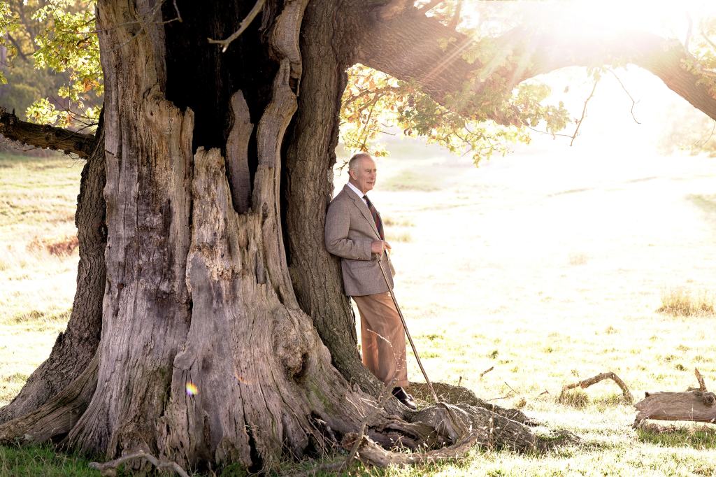 King Charles III Sticking With Green Agenda Despite His New Role