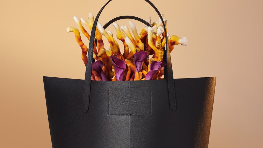 Mylo brand tote with mushrooms
