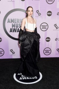 Dove Cameron at the 2022 American Music Awards held at the Microsoft Theater at L.A. Live on November 20, 2022 in Los Angeles, California.