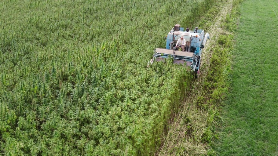 FyberX Holdings, which processes raw agricultural biomass into refined natural fibers, will invest $17.5 million to establish its U.S. headquarters and production operation in Virginia.
