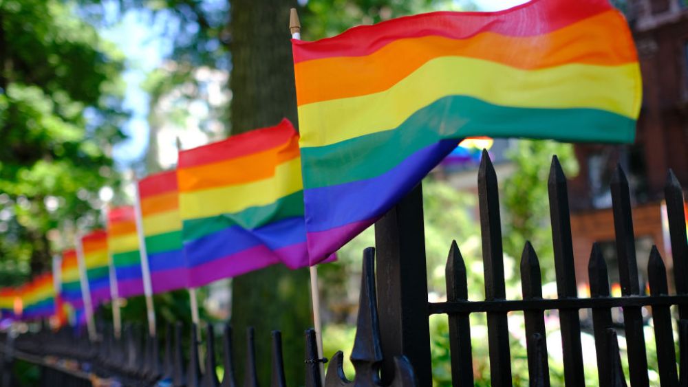 NEW YORK, NEW YORK - JUNE 22:  Pride Flags decorate Christopher Park on June 22, 2020 in New York City. Due to the ongoing Coronavirus pandemic, this year's march had to be canceled over health concerns. The annual event, which sees millions of attendees, marks it's 50th anniversary since the first march following the Stonewall Inn riots.on June 22, 2020 in New York City. (Photo by Dimitrios Kambouris/Getty Images,)