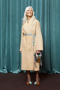 Roberto Cavalli Pre-Fall 2023