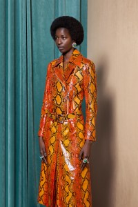 Roberto Cavalli Pre-Fall 2023