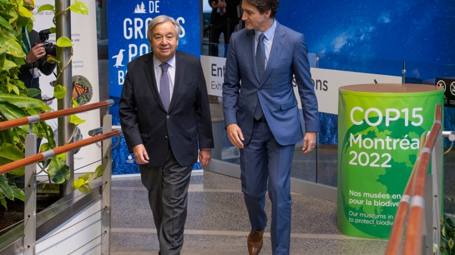 UN COP15 biodiversity conference in Montreal