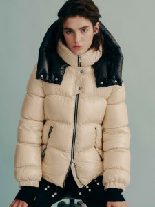 Add RTW Fall 2023