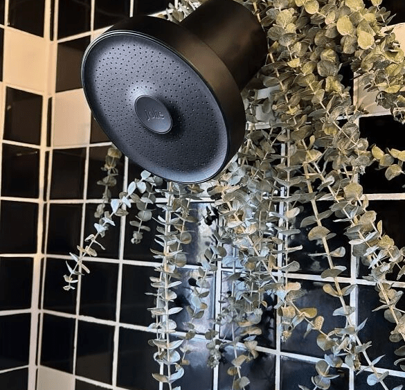 Jolie Shower Head