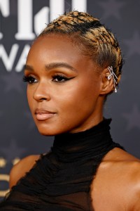 LOS ANGELES, CALIFORNIA - JANUARY 15: Janelle Monáe attends the 28th Annual Critics Choice Awards at Fairmont Century Plaza on January 15, 2023 in Los Angeles, California. (Photo by Frazer Harrison/Getty Images)
