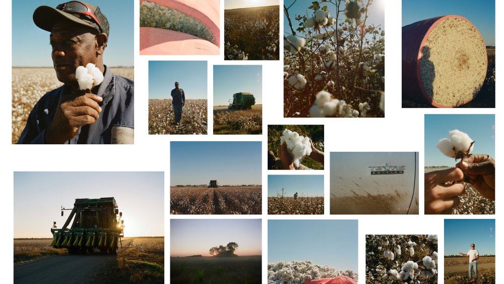 A collage of cotton farmers from the Citizens of Humanity Group and Kiss the Ground regenerative cotton program.