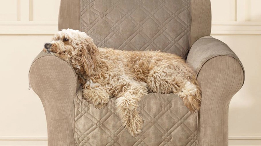 Standard Fiber Taps Noble Biomaterials for Healthy Home Textiles