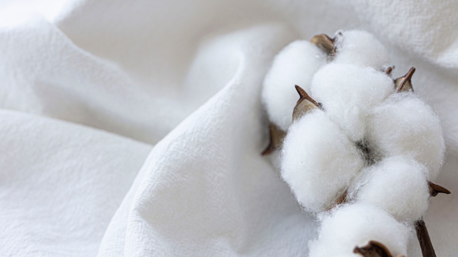 Here’s Why These Brands Are Leaning into Natural Fibers