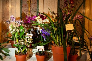 The scene at the New York Botanical Garden's Orchid Dinner 2023.