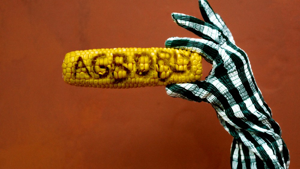 A branding concept for Agbobly.