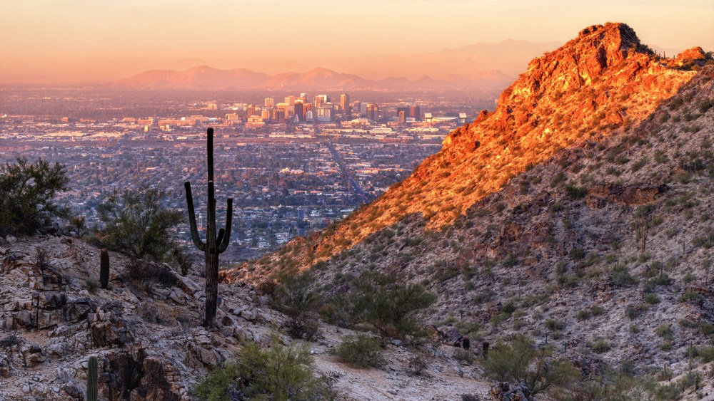 Phoenix