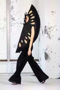 Area RTW Fall 2023