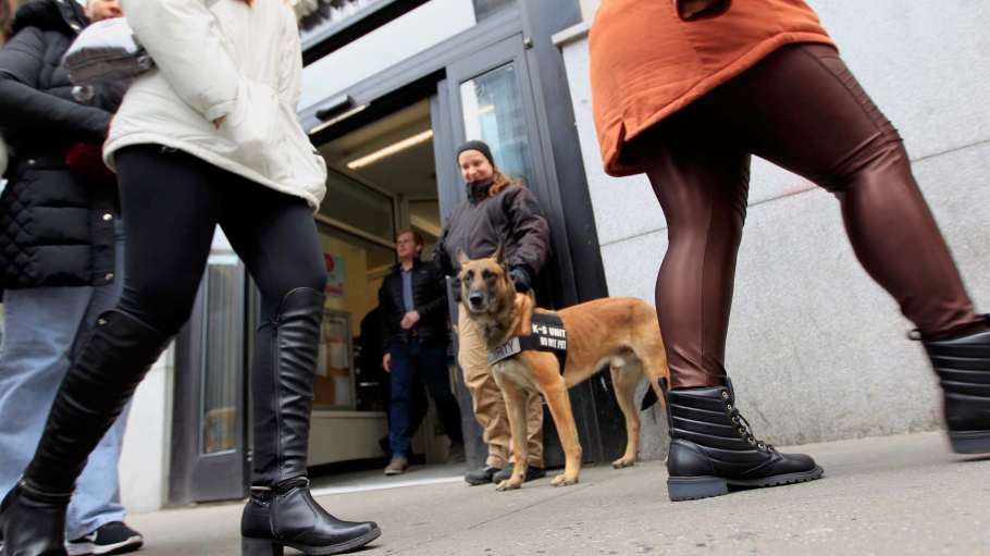 Emir, a Belgian Malinois with his handler Olivia outside the CVS on 34th Street and 8th Avenue in midtown Manhattan.