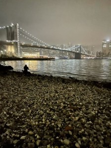 "Pebbles meet sea grass under a full moon.” — Omar Salam