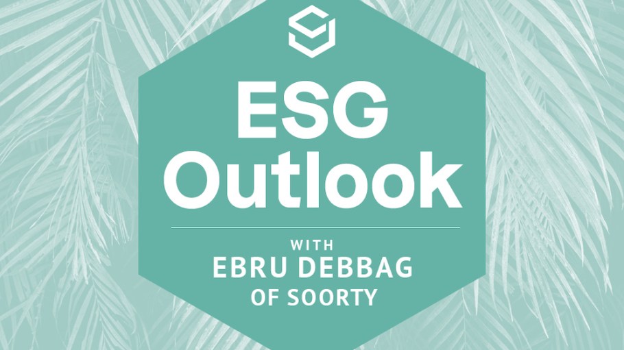 Soorty ESG Outlook