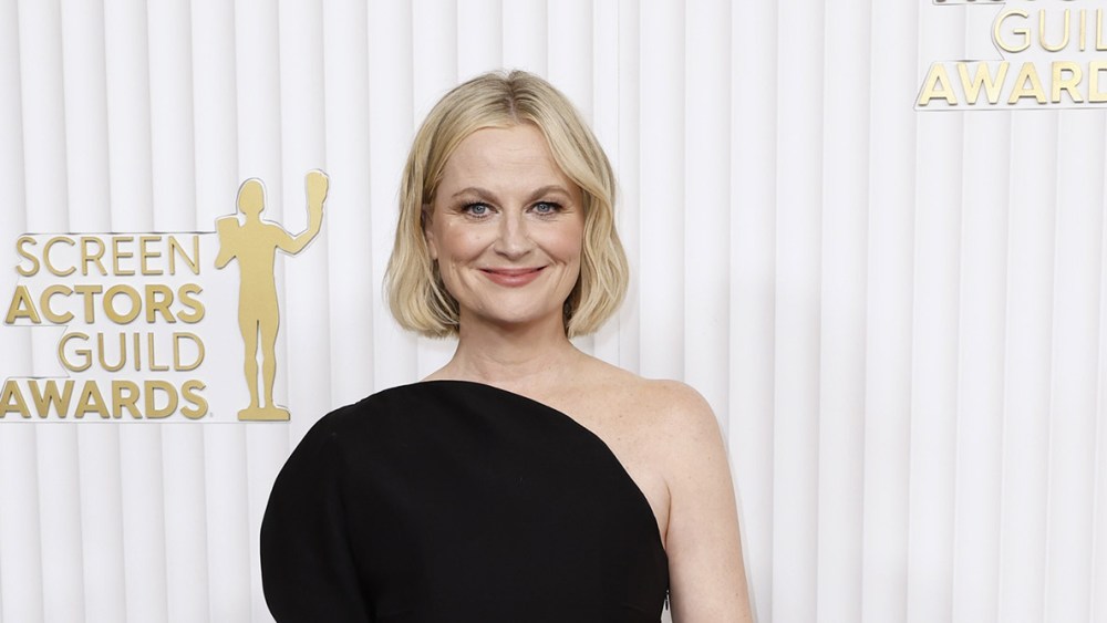LOS ANGELES, CALIFORNIA - FEBRUARY 26: Amy Poehler attends the 29th Annual Screen Actors Guild Awards at Fairmont Century Plaza on February 26, 2023 in Los Angeles, California. (Photo by Frazer Harrison/Getty Images)