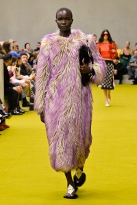 Gucci RTW Fall 2023