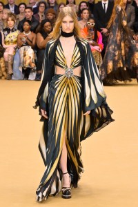 Roberto Cavalli RTW Fall 2023