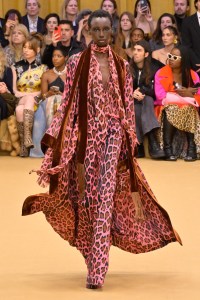 Roberto Cavalli RTW Fall 2023