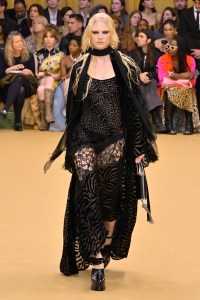 Roberto Cavalli RTW Fall 2023