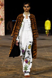 Dior Pre-Fall 2023