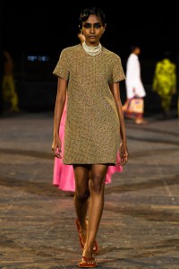 Dior Pre-Fall 2023