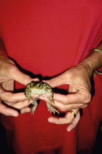 Gently Holding Frog, 1995
