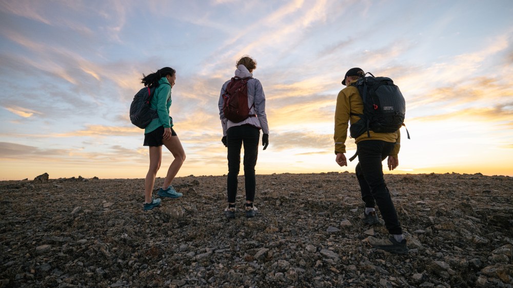 The B Corp movement is a global movement of "people using business as a force for good."