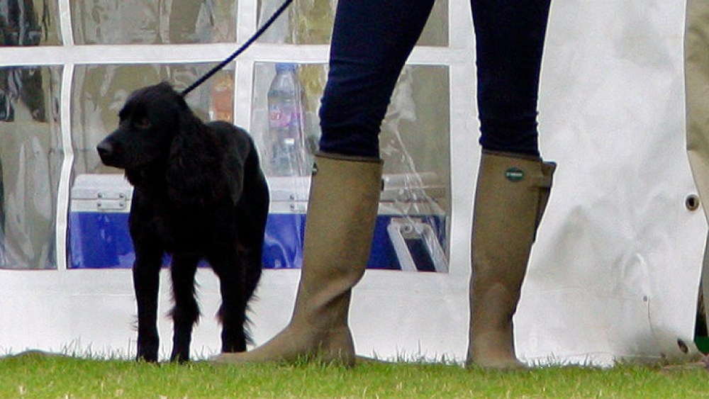 Authentic Brands is exploring a possible deal for Wellies' maker Hunter, the holder of two royal warrants & a fave of the Princess of Wales.