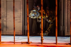 Life of Pi on Broadway