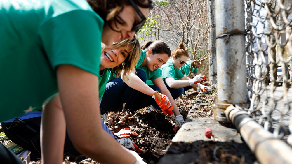 Macy's volunteers engage in planting on school grounds in a partnership  with the Trust for Public Land.