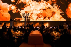 Sulwhasoo night at the Temple of Dendur