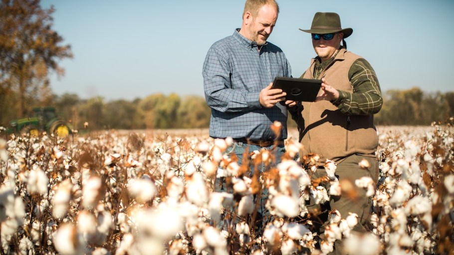 Two U.S. Cotton Trust Protocol Growers