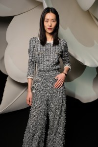 Liu Wen