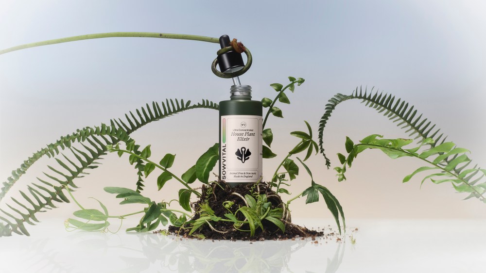 Sowvital's Houseplant Elixir vitamin for plants