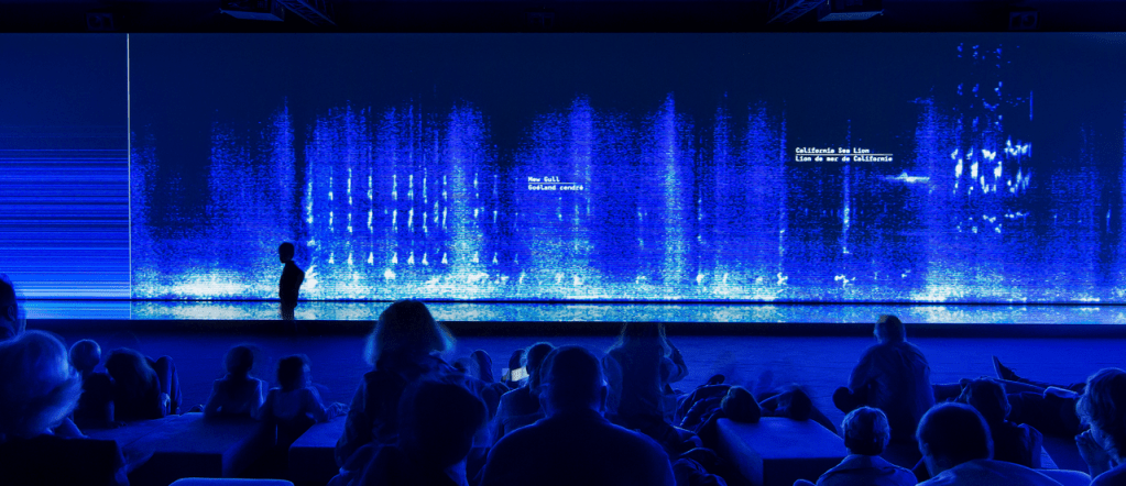 Fondation Cartier and Exploratorium Bring โAnimal Orchestraโ to Sanย Francisco