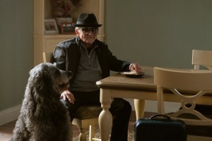 "Crispytown" Episode 104, Joe Pesci as Joe Larocca.