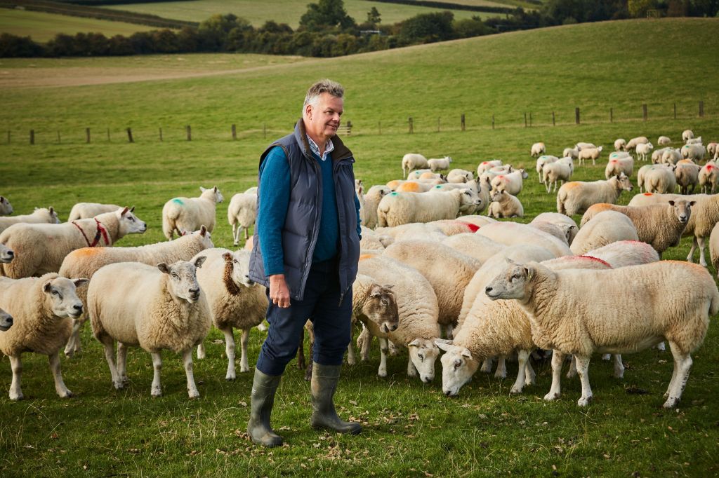 U.K. Bedding Company Woolroom’s Quest for Sustainability