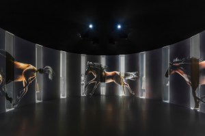 A view of the "Gucci Cosmos" exhibition in Shanghai.