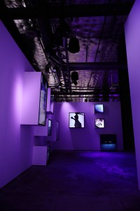 Gris Dior Exhibit
